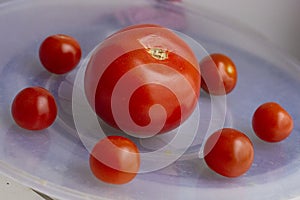 Large and small red tomatoes arranged in a circle on a light background