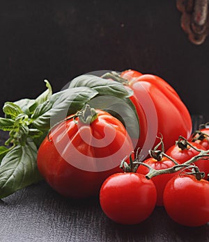 Large and small tomatoes with basil