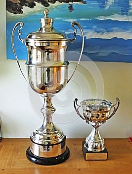 Large and small Trophy