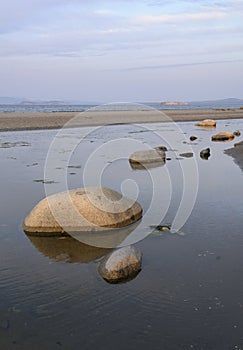 Large smooth rocks exposed at low tide, Sidney Spit, Gulf Islands National Park Reserve photo