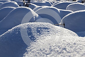 large snowdrifts after snowfalls and blizzards, the winter