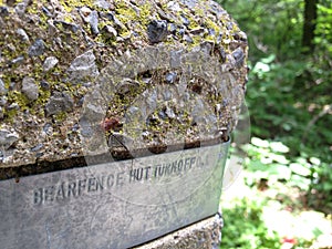 Large Spider on Signpost at Bearfence on Appalachian Trail photo