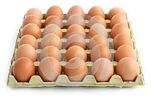 Large square tray of eggs