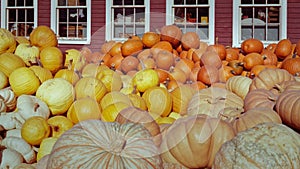 Large stack of pumpkins and squash in front of roadside stand