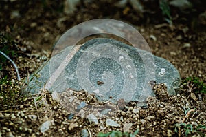 Large stone on grass close-up. Azerbaijan