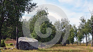 Large stone on North Koster at Koster Islands archipelago in Sweden