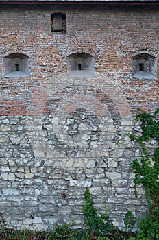 Large stone wall of an ancient castle, overgrown with massive ivy branches in Lviv, Ukrain