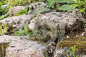 Large stones