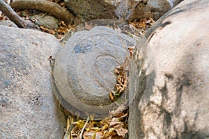 Large  stones on the banks of the swift mountainous Hermon River with crystal clear waters in the Golan Heights in northern Israel