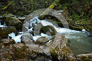 Large stones and fallen tree trunks overgrown with moss in the bed of a stormy mountain river flowing through a cloudy morning