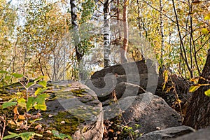 Large stones in the forest against the background of autumn trees.
