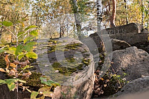 Large stones in the forest against the background of autumn trees.