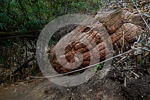 Large stones that resemble snake scales. This is Naka Cave, Bueng Kan Province.