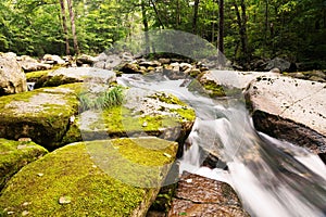 Large stones in the river covered with moss in wild forest