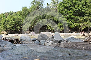 Large stones in the river in West Java in Indonesia