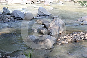 Large stones in the river in West Java in Indonesia