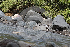Large stones in the river in West Java in Indonesia