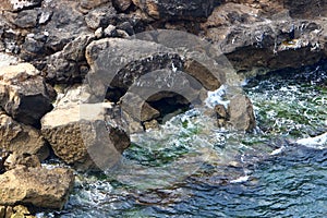 Large stones and shells on the Mediterranean coast