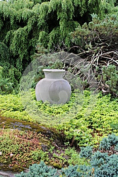 Large stoneware vase set in the middle of greenery from shrubery and fir trees in summertime garden