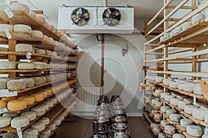 A large storehouse of manufactured cheese standing on the shelves ready to be transported to markets