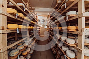 A large storehouse of manufactured cheese standing on the shelves ready to be transported to markets