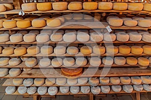 A large storehouse of manufactured cheese standing on the shelves ready to be transported to markets