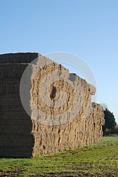 Large straw bales in field.
