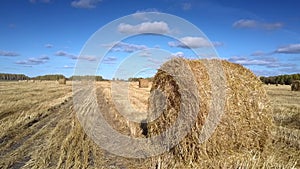 Large straw roll lies on foreground in empty gold field