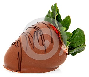 Large Strawberry Dipped in Chocolate