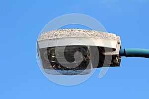 Large street lamp encased in metal casing covered with multiple insects on clear blue sky background