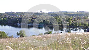 A large summer field of foremen and a river. The beauty of nature around people, an eco-friendly place. Feather grass.