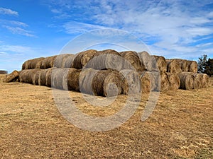 Large supply of hay bales