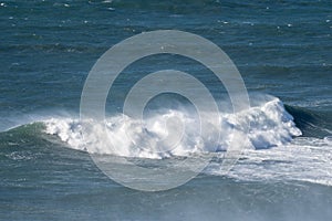 Large surf waves breaking near the beach in Praia do Norte in Nazare, Portugal