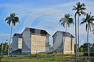 Large tall birdhouse buildings nest house swiftlets for birdnest farming industry with coconut trees, Setiu, Terengganu, Malaysia