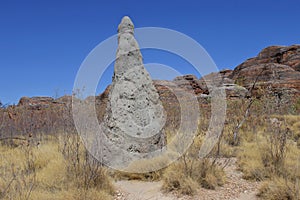 Large termite mound in Bungle Bungle Range  landform in Kimberley Western Australia