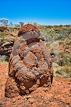 Large termite mound of red earth in the Australian outback.
