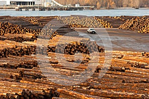 Large Timber Wood Log Lumber Processing Plant Riverside Columbia