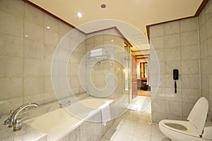 Large toilet with bathtub using classic natural grey white marble with veins