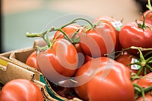 Large tomatoes for sale in a carton at market