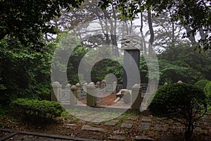 Large Tortoise Monument inside Dongbaek Park on a foggy day. Haeundae-gu, Busan, South Korea. Asia