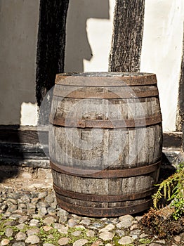 Large traditional oak barrel standing alone.