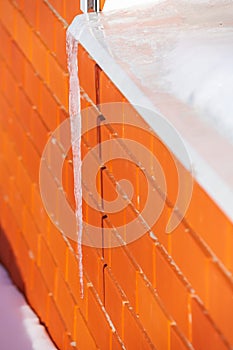 A large transparent icicle on the background of a red brick wall hangs from the white ebb of the window in winter on the eve of