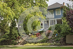 Large tree and house residential area Seattle WA