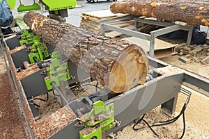 Large tree log is automatically quickly and accurately cut at a modern sawmill