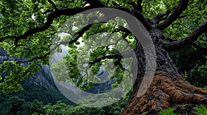 A large tree in the middle of a lush green forest