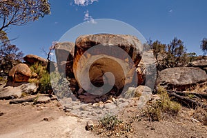 a large tree stump next to a rock formation and trees