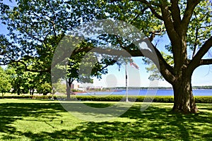 Large trees casting shade across lawn along shore of Charlottetown Harbour