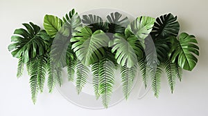 Large tropical leaves and ferns hanging on a simple, light-colored wall.
