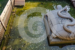 Large Turtle and Snake statue in the Large water pond with Yuan money in water pont at Foshan Ancestral Temple