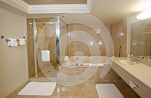 Large Upscale Bathroom